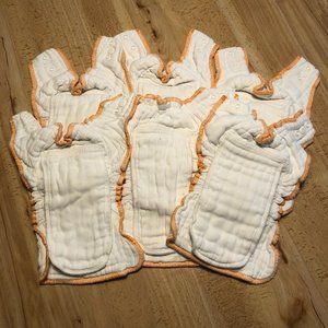 NB Cloth-eez Workhorse Cloth Diapers (Lot of 6)